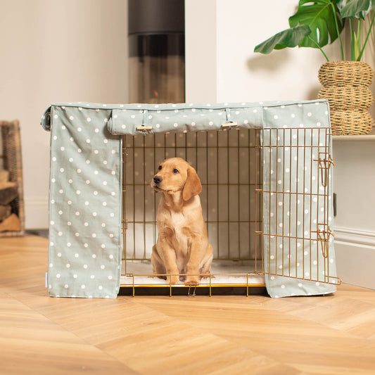 Luxury Gold Dog Cage With Duck Egg Spot Crate Cover, The Perfect Dog Crate For The Ultimate Naptime, Available Now at Lords & Labradors US