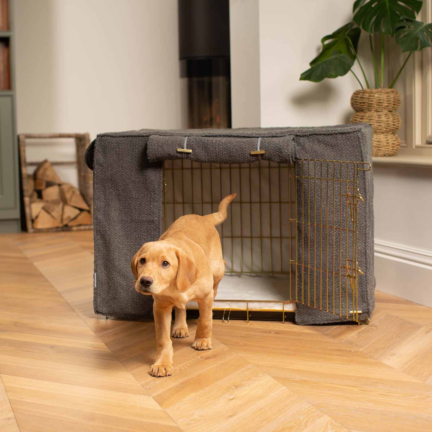 Discover Our Gold Heavy-Duty Dog Cage With Granite Bouclé Cage Cover! The Perfect Cage Accessory For The Ultimate Pet Den. Available To Personalize Here at Lords & Labradors US