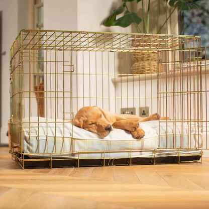 Luxury Gold Dog Cage Cushion, Duck Egg Tweed Cage Cushion! Perfect Dog Cage Accessory, Available To Personalize Now at Lords & Labradors US