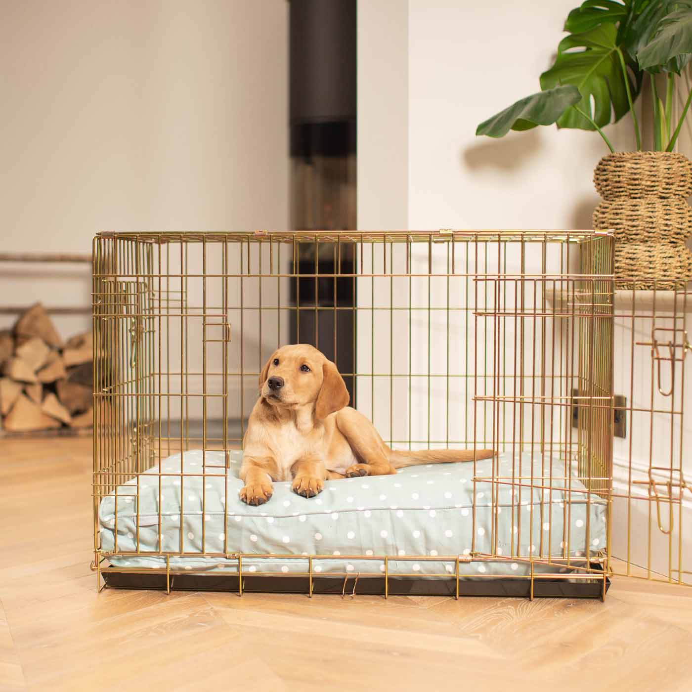 Luxury Gold Dog Cage Set With Cushion, in Duck Egg Spot. The Perfect Dog Cage For The Ultimate Naptime, Available Now at Lords & Labradors US