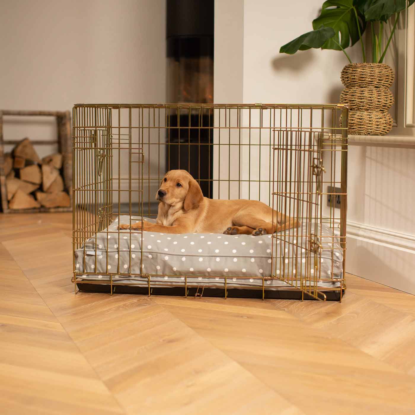 Luxury Gold Dog Cage Set With Cushion, in Grey Spot. The Perfect Dog Cage For The Ultimate Naptime, Available Now at Lords & Labradors US