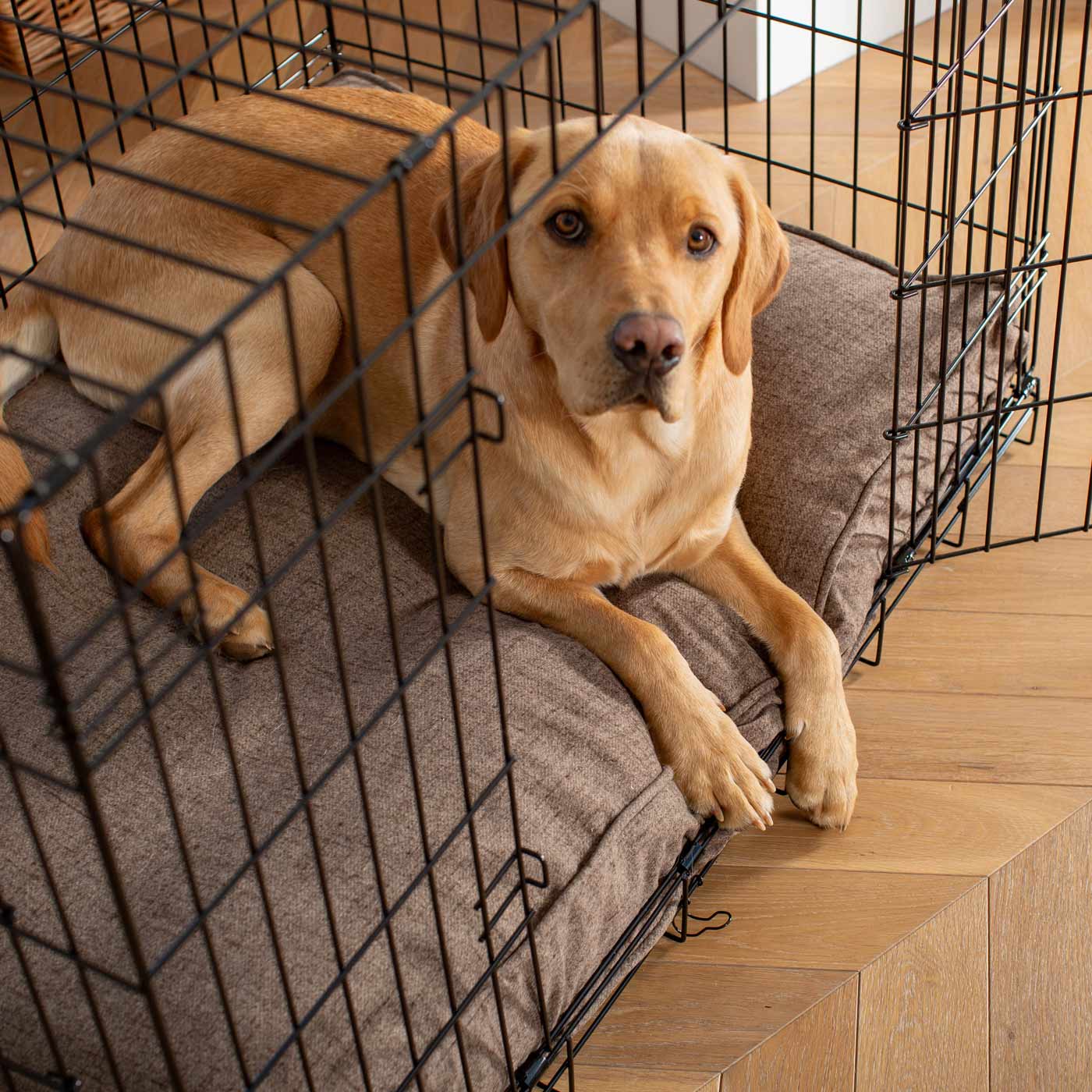 Dog Cushion Cover in Inchmurrin Umber by Lords & Labradors