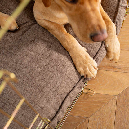 Dog Cushion Cover in Inchmurrin Umber by Lords & Labradors