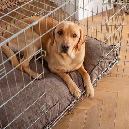 Dog Cushion Cover in Inchmurrin Umber by Lords & Labradors