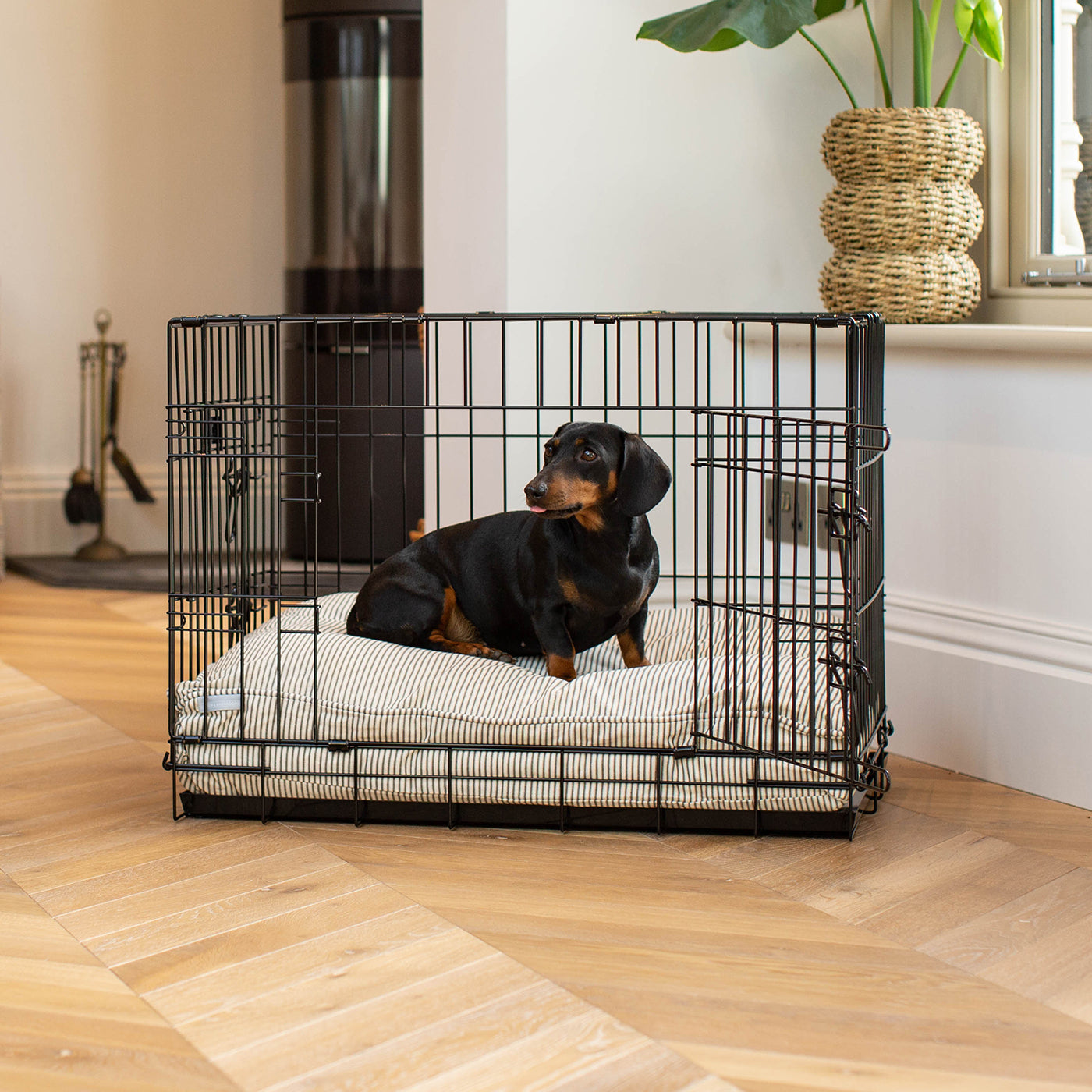 Luxury Black Dog Cage Set With Cushion, The Perfect Dog Crate For The Ultimate Naptime, Available Now at Lords & Labradors US