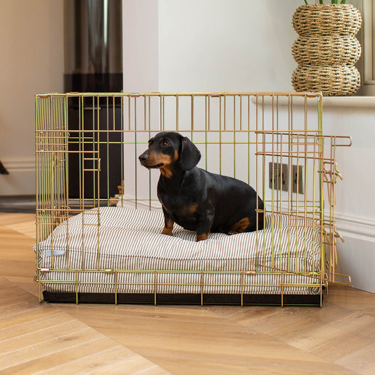 Luxury Gold Dog Cage Set With Cushion, in Regency Stripe. The Perfect Dog Cage For The Ultimate Naptime, Available Now at Lords & Labradors US