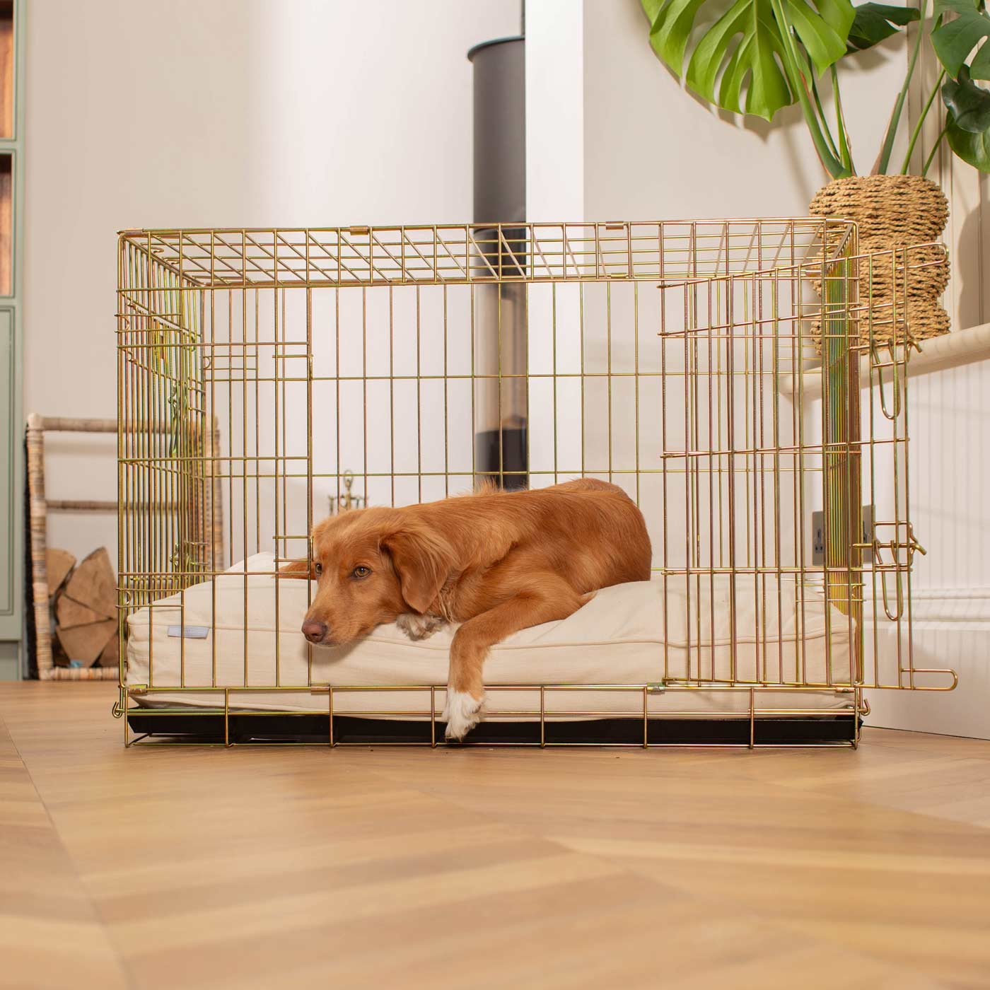 Luxury Dog Cage Cushion, Savanna Bone Cage Cushion Cover The Perfect Dog Cage Accessory, Available Now at Lords & Labradors US