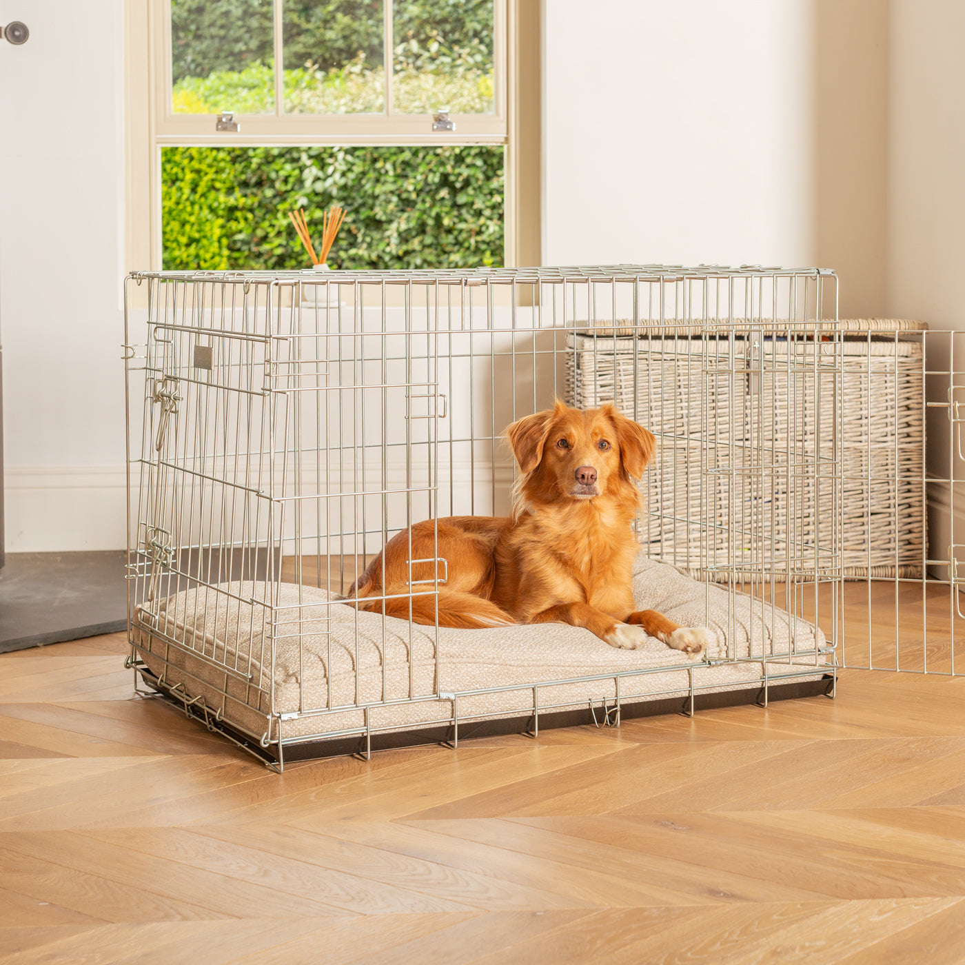 Dog Cushion in Essentials Herdwick Sandstone by Lords & Labradors