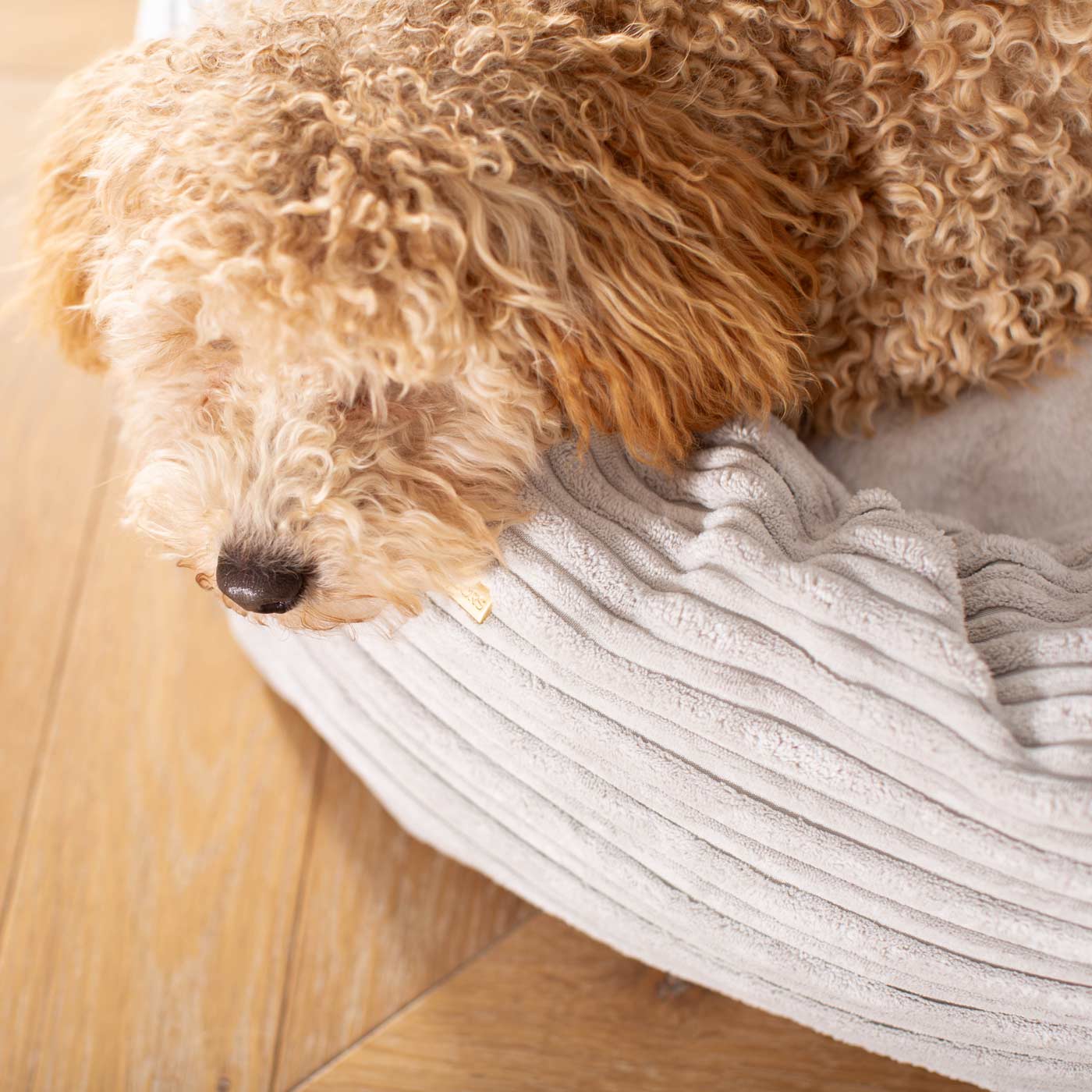 Discover Our Handmade Luxury Donut Dog Bed, In Light Grey Essentials Plush, The Perfect Choice For Puppies Available Now at Lords & Labradors US