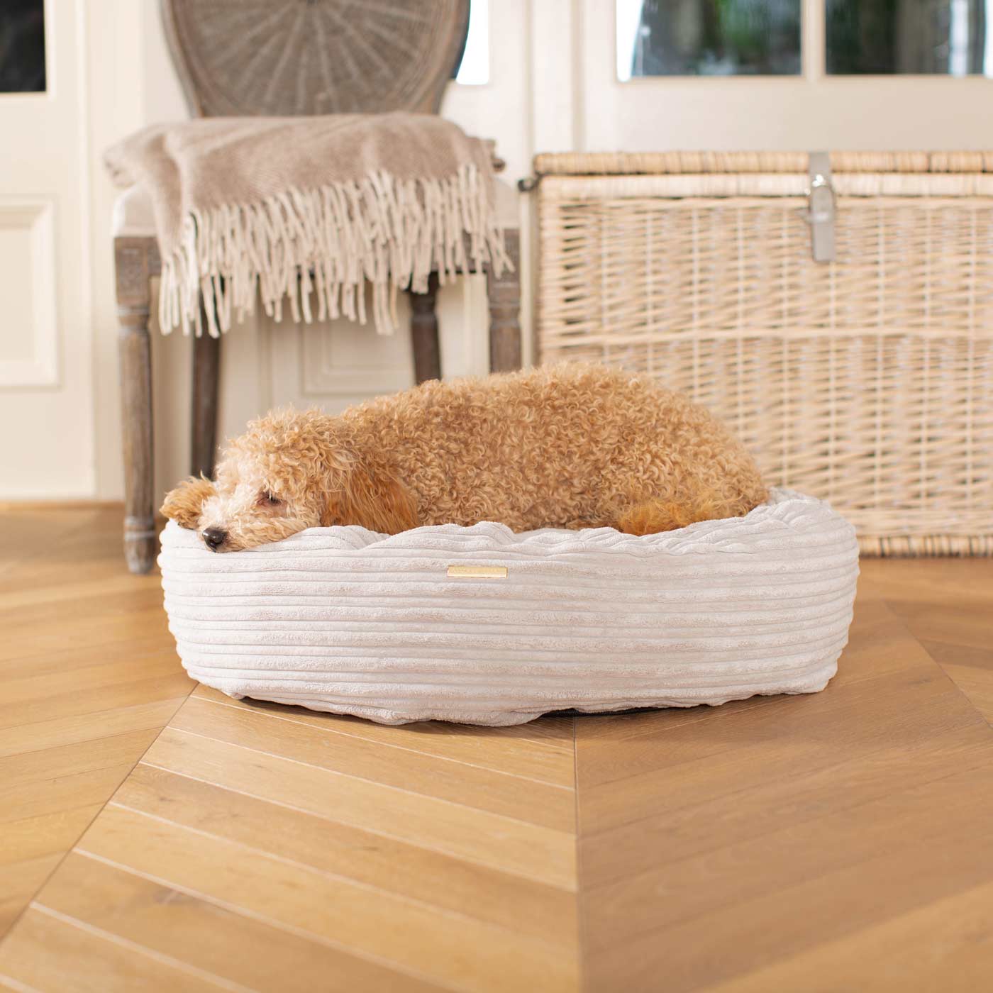 Discover Our Handmade Luxury Donut Dog Bed, In Light Grey Essentials Plush, The Perfect Choice For Puppies Available Now at Lords & Labradors US