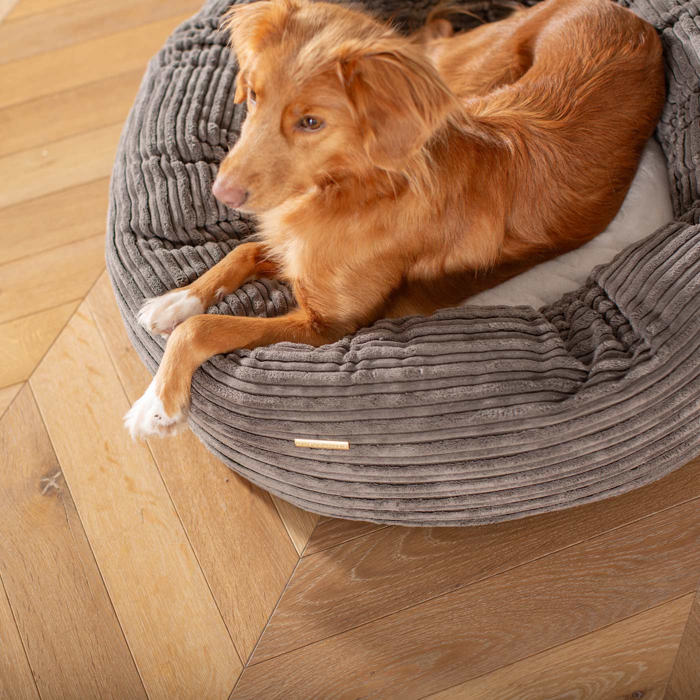 Discover Our Handmade Luxury Donut Dog Bed, In Dark Grey Essentials Plush, The Perfect Choice For Puppies Available Now at Lords & Labradors US