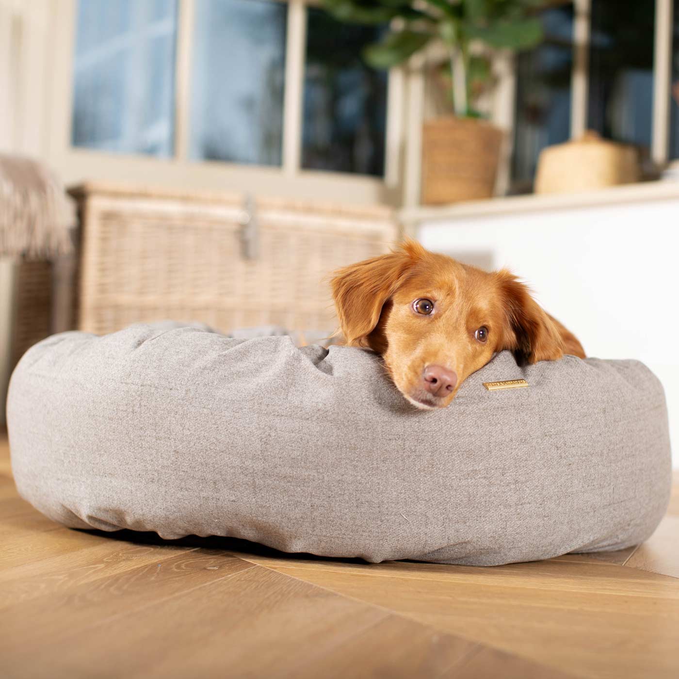 Donut Bed in Inchmurrin Ground By Lords & Labradors