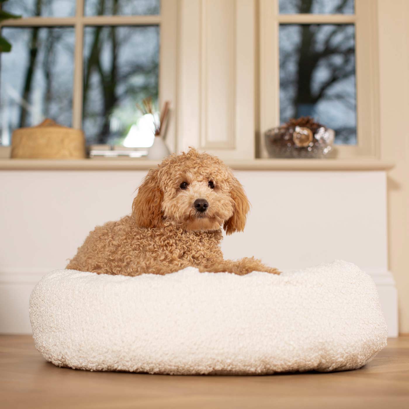 Discover Our Handmade Luxury Donut Dog Bed, In Ivory Bouclé, The Perfect Choice For Puppies Available Now at Lords & Labradors US