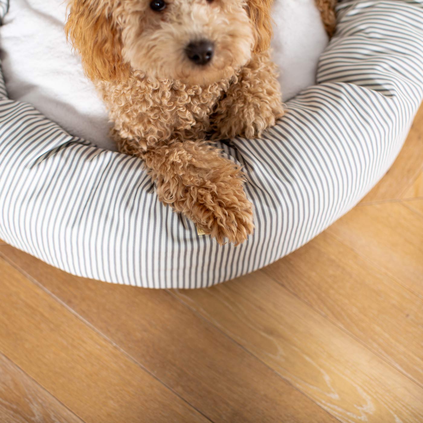 Discover Our Handmade Luxury Donut Dog Bed, In Regency Stripe, The Perfect Choice For Puppies Available Now at Lords & Labradors US