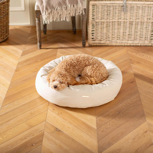 Discover Our Handmade Luxury Donut Dog Bed, In Savanna Bone, The Perfect Choice For Puppies Available Now at Lords & Labradors US