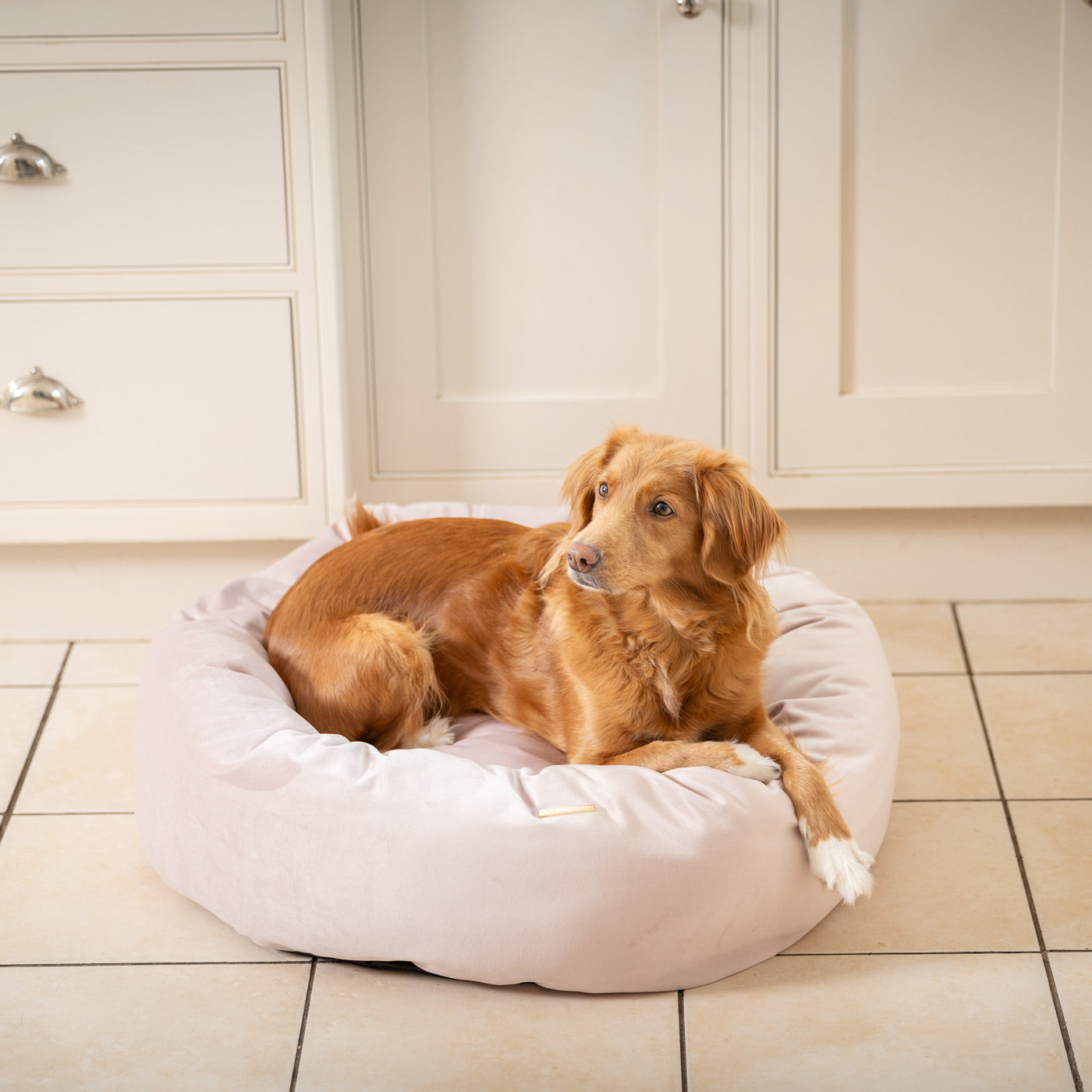 Donut Bed in Blossom Velvet By Lords & Labradors