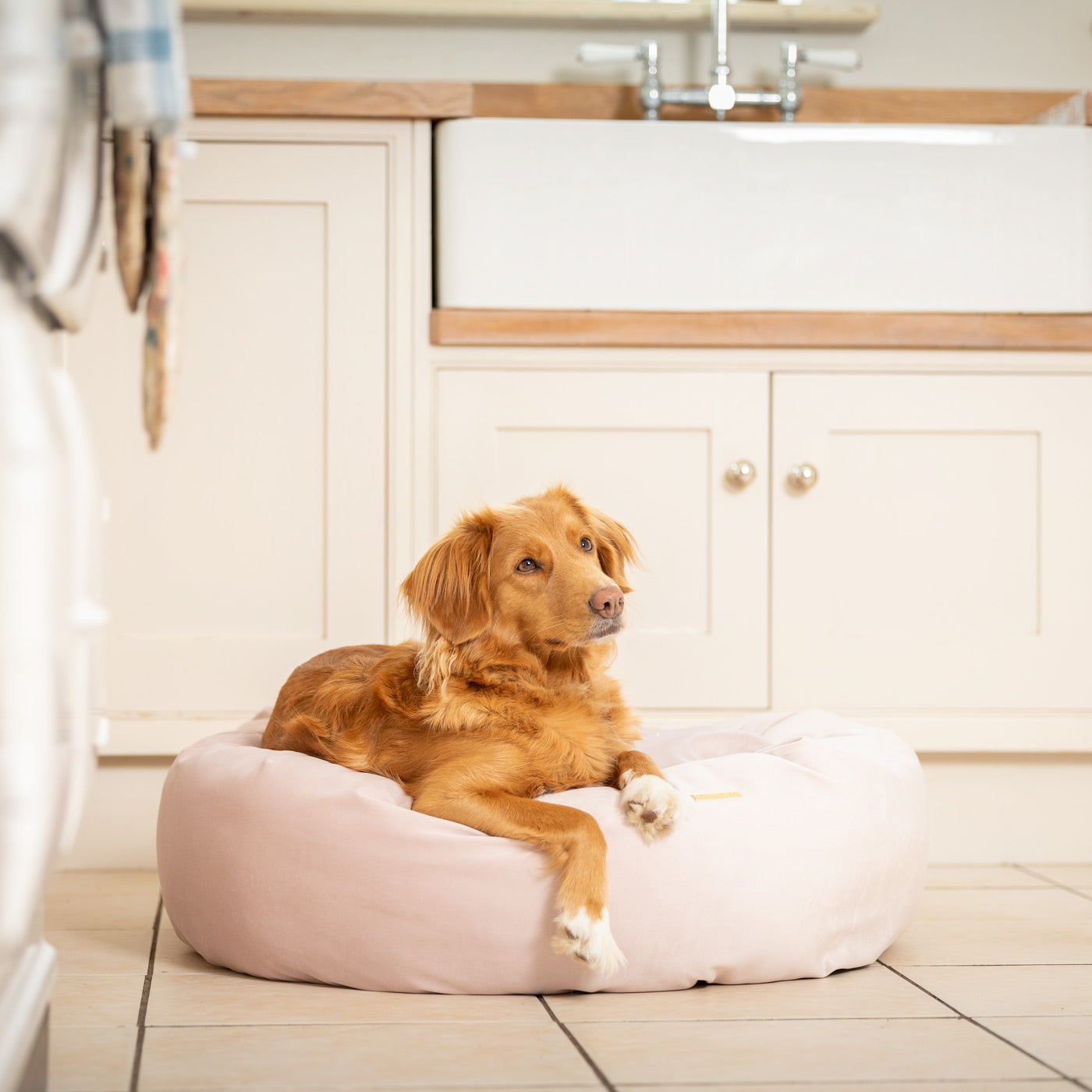 Donut Bed in Blossom Velvet By Lords & Labradors