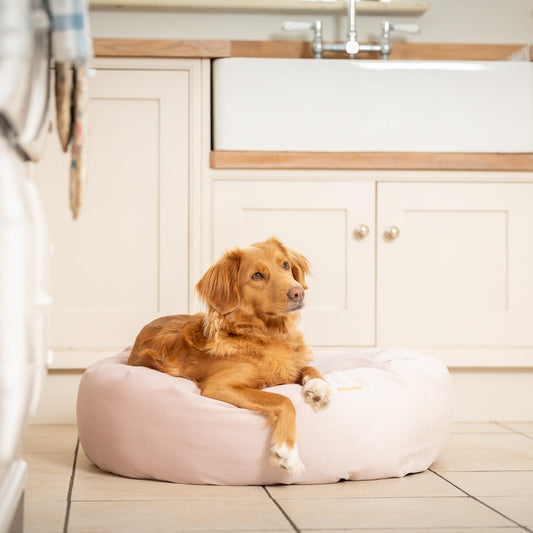 Donut Bed in Blossom Velvet By Lords & Labradors