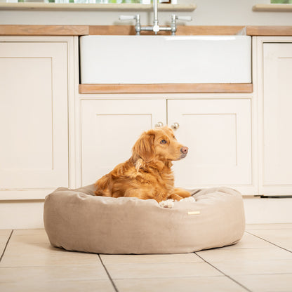 Donut Bed in Clay Velvet By Lords & Labradors