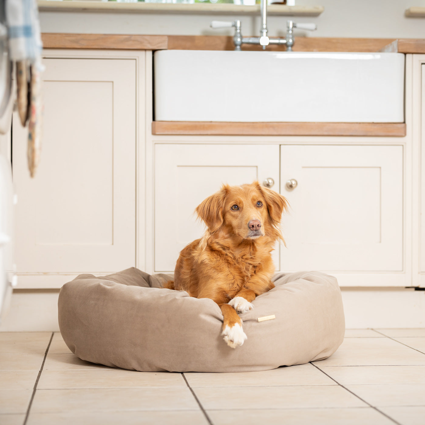 Donut Bed in Clay Velvet By Lords & Labradors