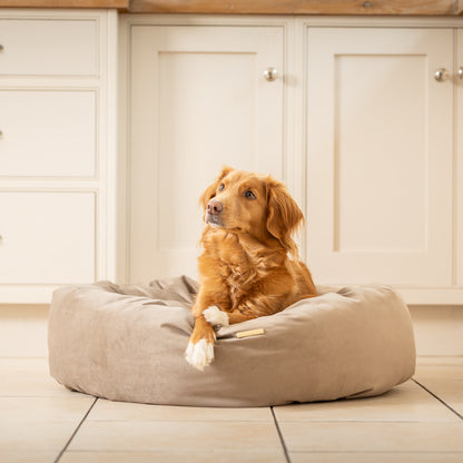 Donut Bed in Clay Velvet By Lords & Labradors