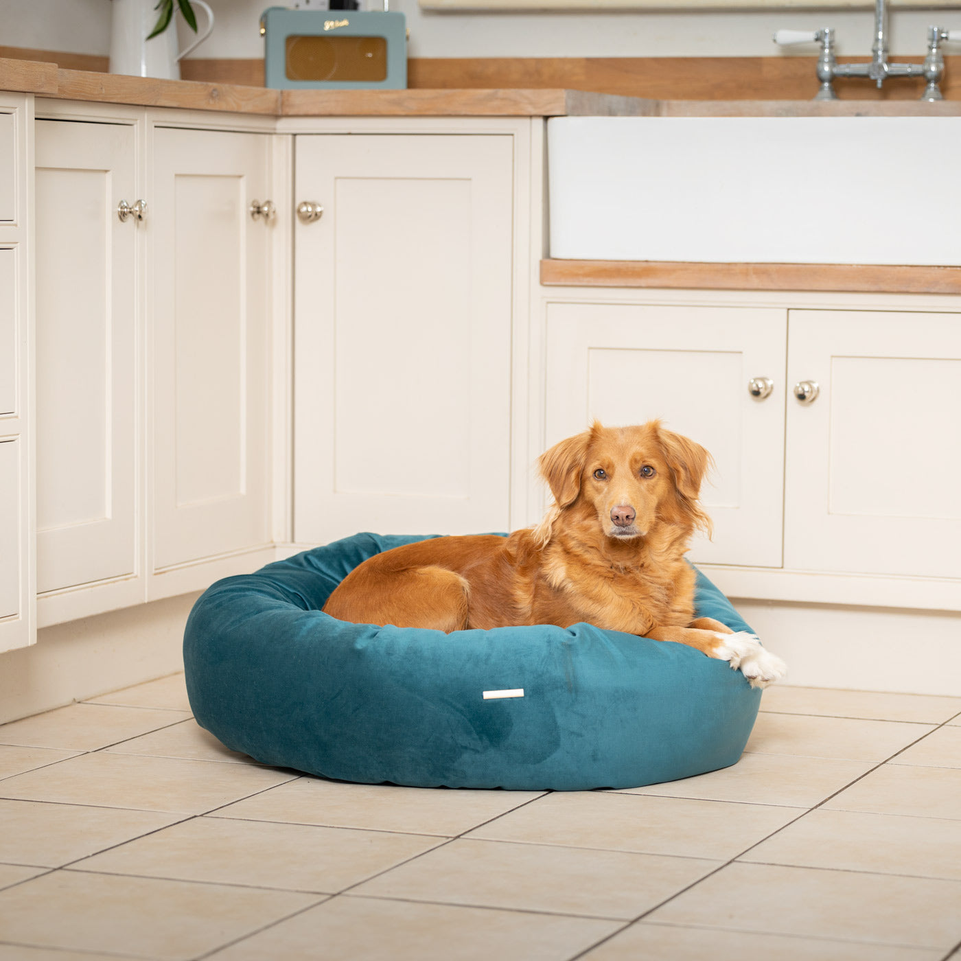 Donut Bed in Marine Velvet By Lords & Labradors