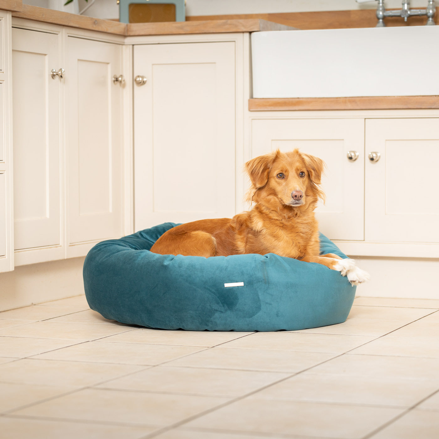 Donut Bed in Marine Velvet By Lords & Labradors