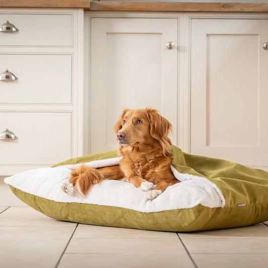 Sleepy Burrows Bed In Olive Velvet By Lords & Labradors