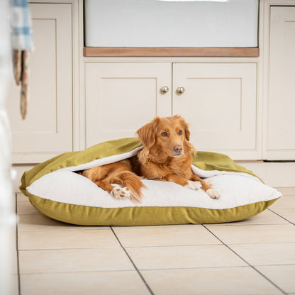 Sleepy Burrows Bed In Olive Velvet By Lords & Labradors