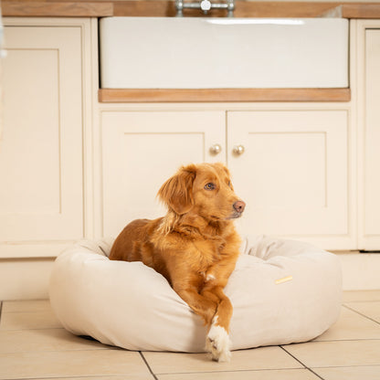 Donut Bed in Oyster Velvet By Lords & Labradors