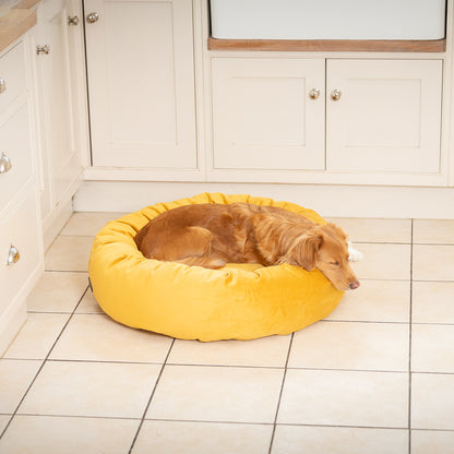 Donut Bed in Saffron Velvet By Lords & Labradors