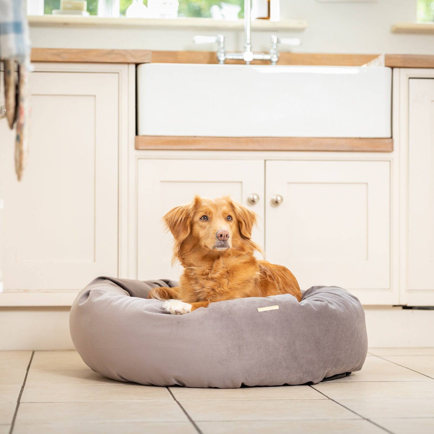 Donut Bed in Silt Velvet By Lords & Labradors