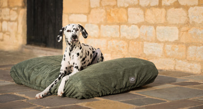 Introducing the ultimate bamboo dog drying cushion cover in beautiful fir green, made from luxurious bamboo to aid sensitive skin featuring elasticated hem for a snug fit with super absorbent material for easy pet drying! Available now at Lords & Labradors US, In three sizes and four colors to suit all breeds!