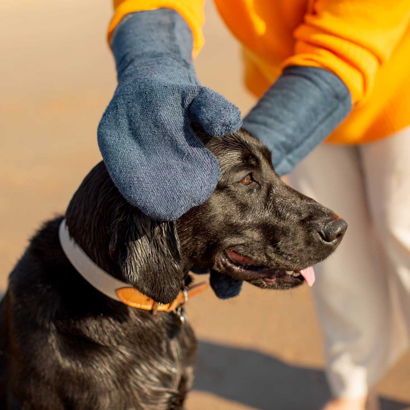 Introducing the ultimate bamboo dog drying mitts in beautiful Navy, made from luxurious bamboo to aid sensitive skin featuring universal size to fit all with super absorbent material for easy pet drying! The perfect dog drying gloves, available now at Lords & Labradors US, In four colors!