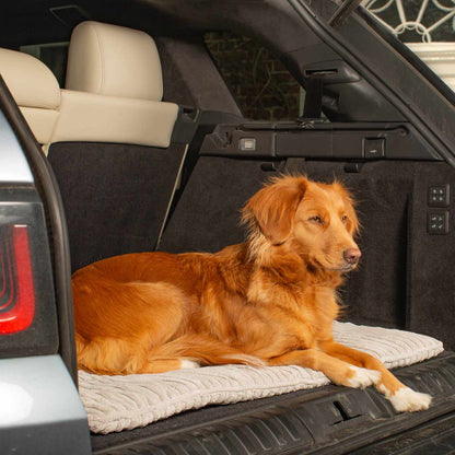 Embark on the perfect pet travel with our luxury Travel Mat in Essentials Light Grey. Featuring a Carry handle for on the move once Rolled up for easy storage, can be used as a seat cover, boot mat or travel bed! Available now at Lords & Labradors US