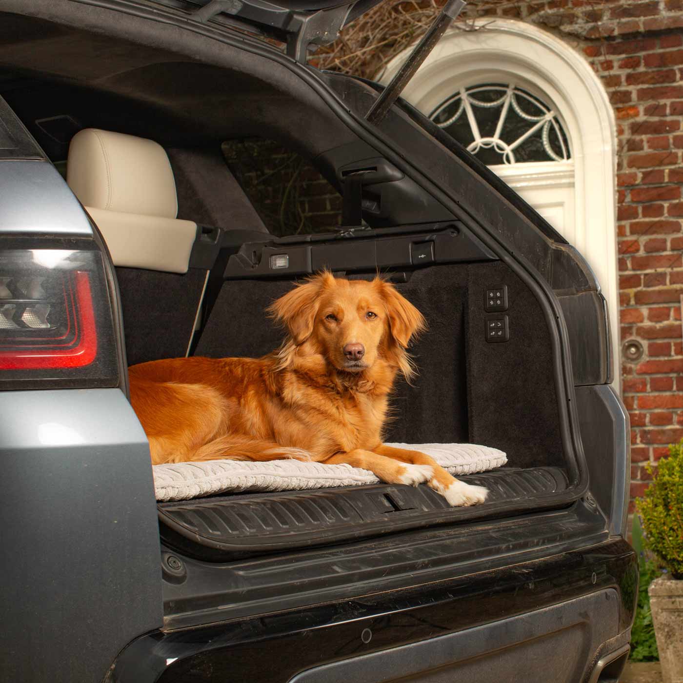 Embark on the perfect pet travel with our luxury Travel Mat in Essentials Light Grey. Featuring a Carry handle for on the move once Rolled up for easy storage, can be used as a seat cover, boot mat or travel bed! Available now at Lords & Labradors US