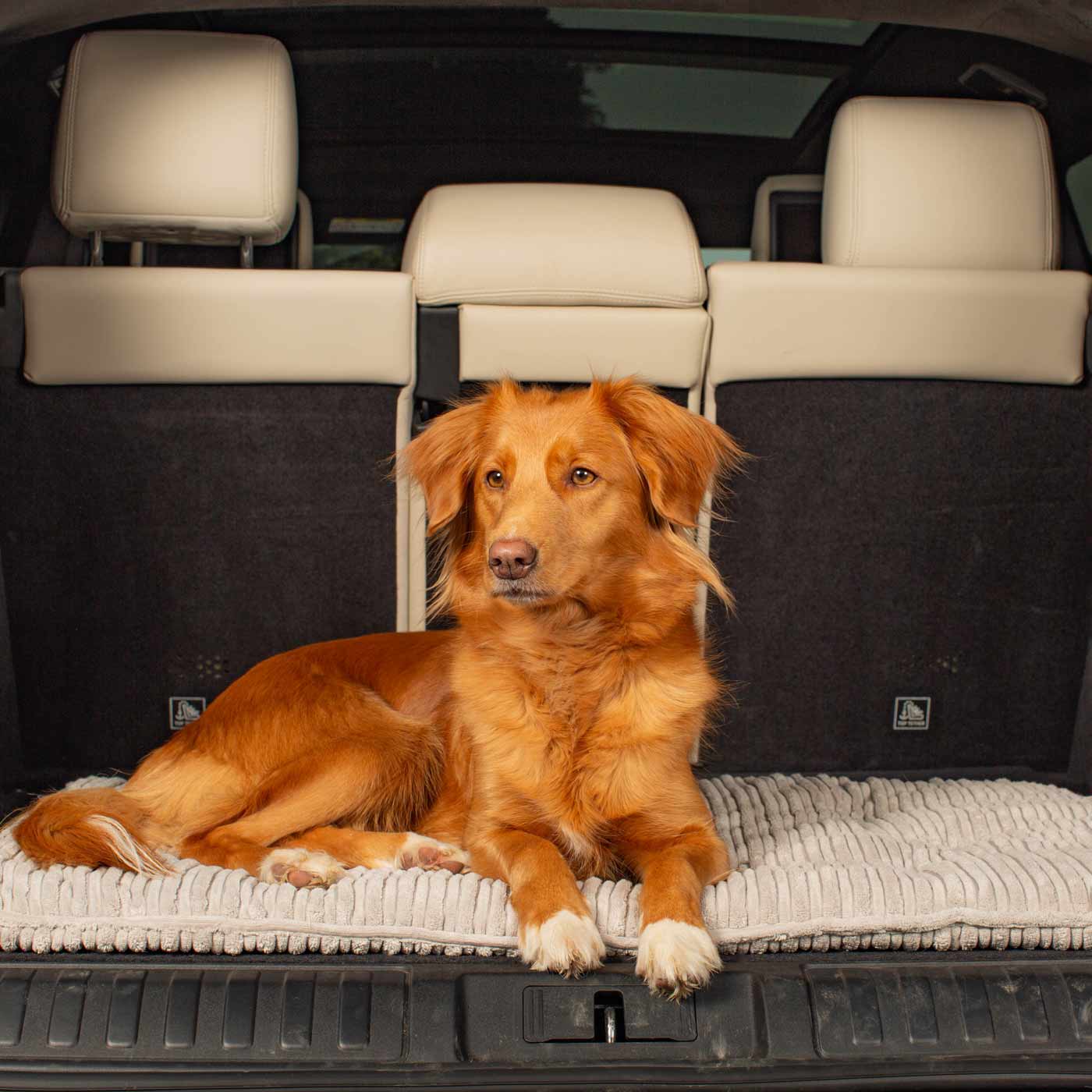 Embark on the perfect pet travel with our luxury Travel Mat in Essentials Light Grey. Featuring a Carry handle for on the move once Rolled up for easy storage, can be used as a seat cover, boot mat or travel bed! Available now at Lords & Labradors US