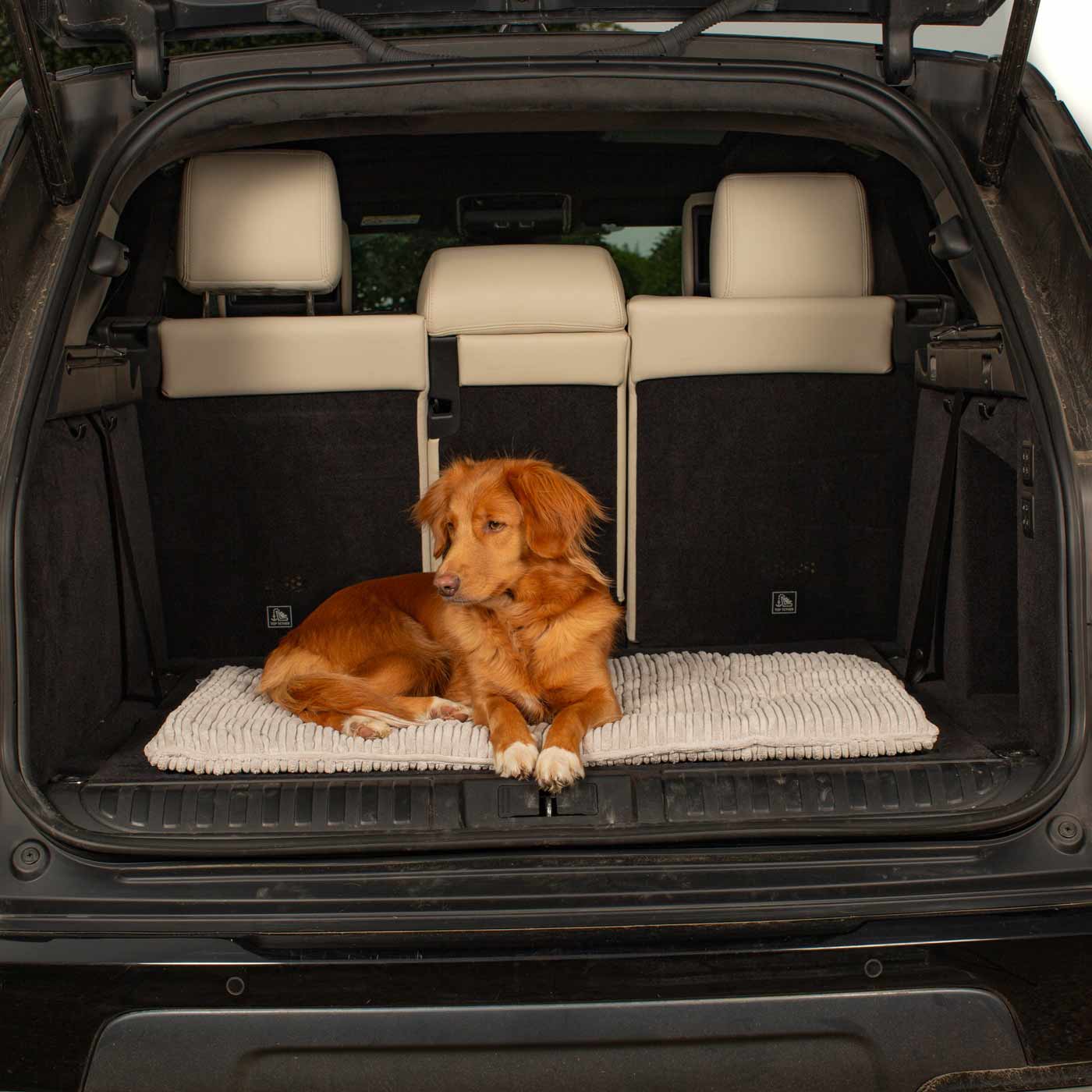 Embark on the perfect pet travel with our luxury Travel Mat in Essentials Light Grey. Featuring a Carry handle for on the move once Rolled up for easy storage, can be used as a seat cover, boot mat or travel bed! Available now at Lords & Labradors US