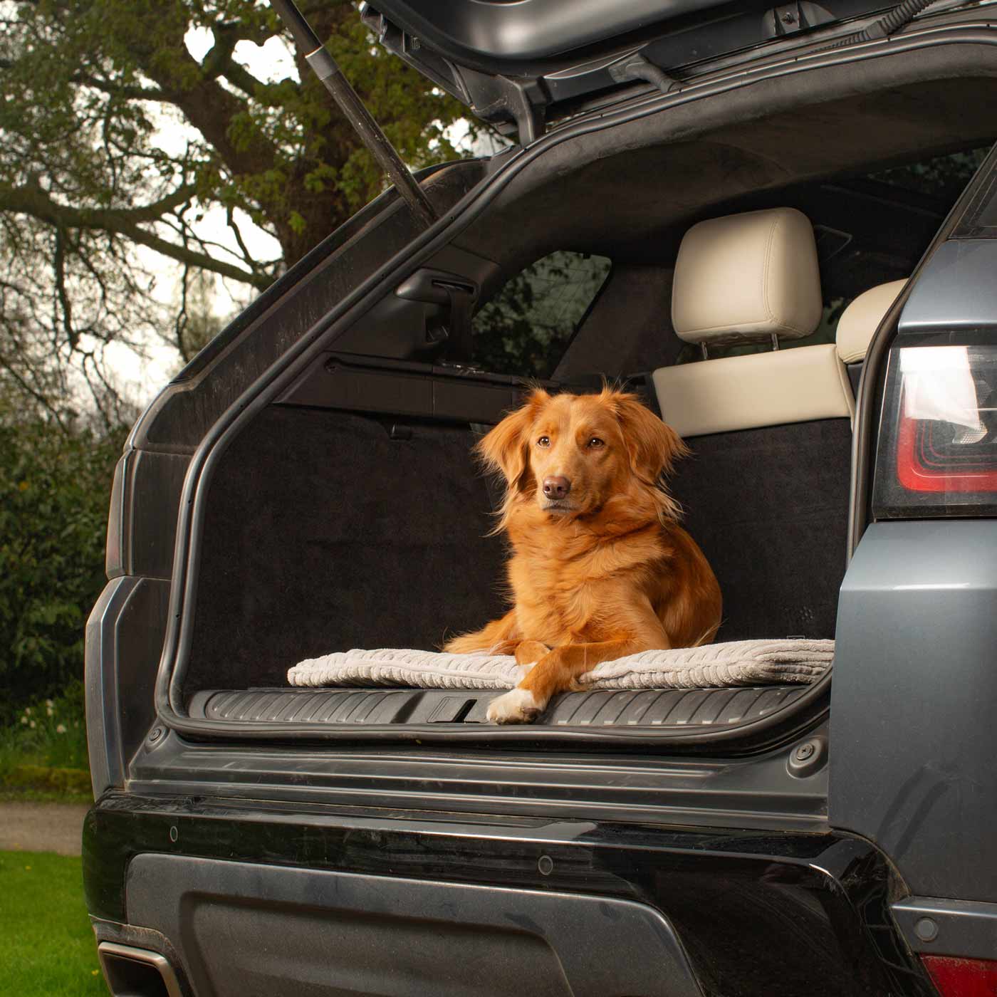 Embark on the perfect pet travel with our luxury Travel Mat in Essentials Light Grey. Featuring a Carry handle for on the move once Rolled up for easy storage, can be used as a seat cover, boot mat or travel bed! Available now at Lords & Labradors US