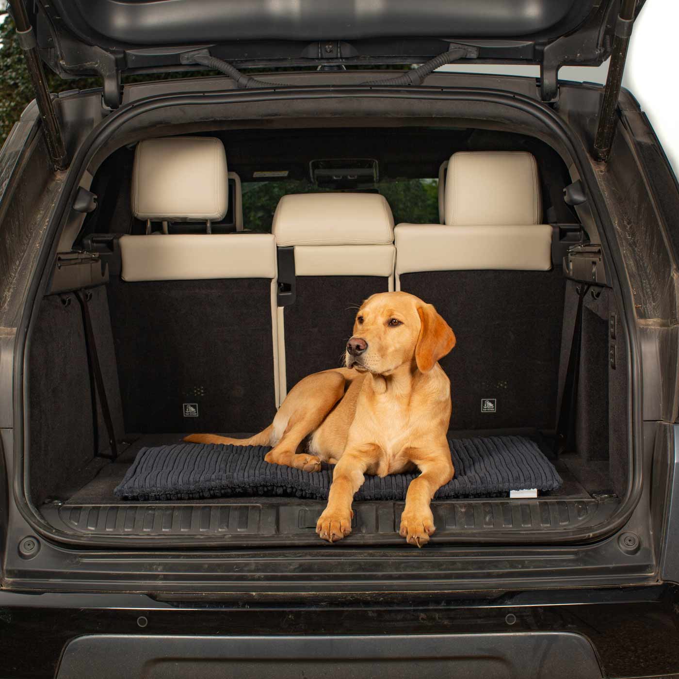 Embark on the perfect pet travel with our luxury Travel Mat in Essentials Navy. Featuring a Carry handle for on the move once Rolled up for easy storage, can be used as a seat cover, boot mat or travel bed! Available now at Lords & Labradors US