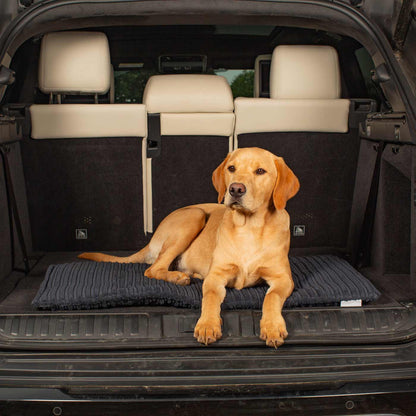 Embark on the perfect pet travel with our luxury Travel Mat in Essentials Navy. Featuring a Carry handle for on the move once Rolled up for easy storage, can be used as a seat cover, boot mat or travel bed! Available now at Lords & Labradors US