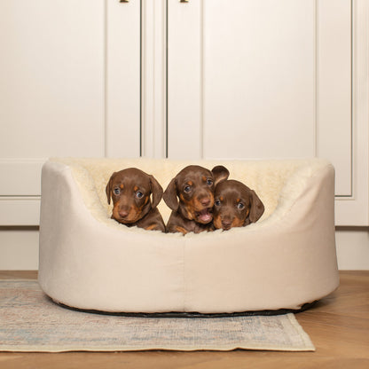 Grow With me Puppy Oval Bed, Crafted From Plush Sherpa Fleece & Suede Outer, Complete With Foam Inner For The Perfect Bed For Your Dog! Available Now at Lords & Labradors US