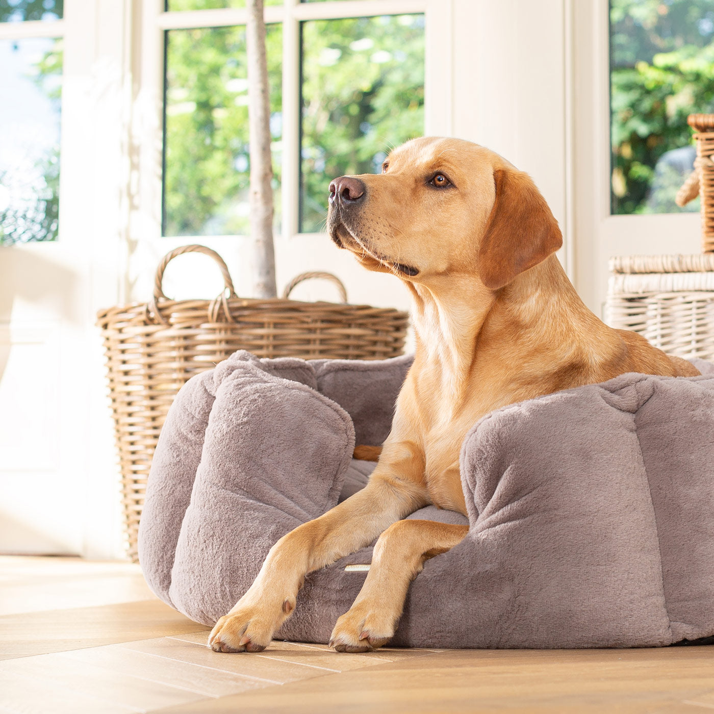 High Wall Bed For Dogs in Calming Anti-Anxiety Fawn Faux Fur by Lords & Labradors