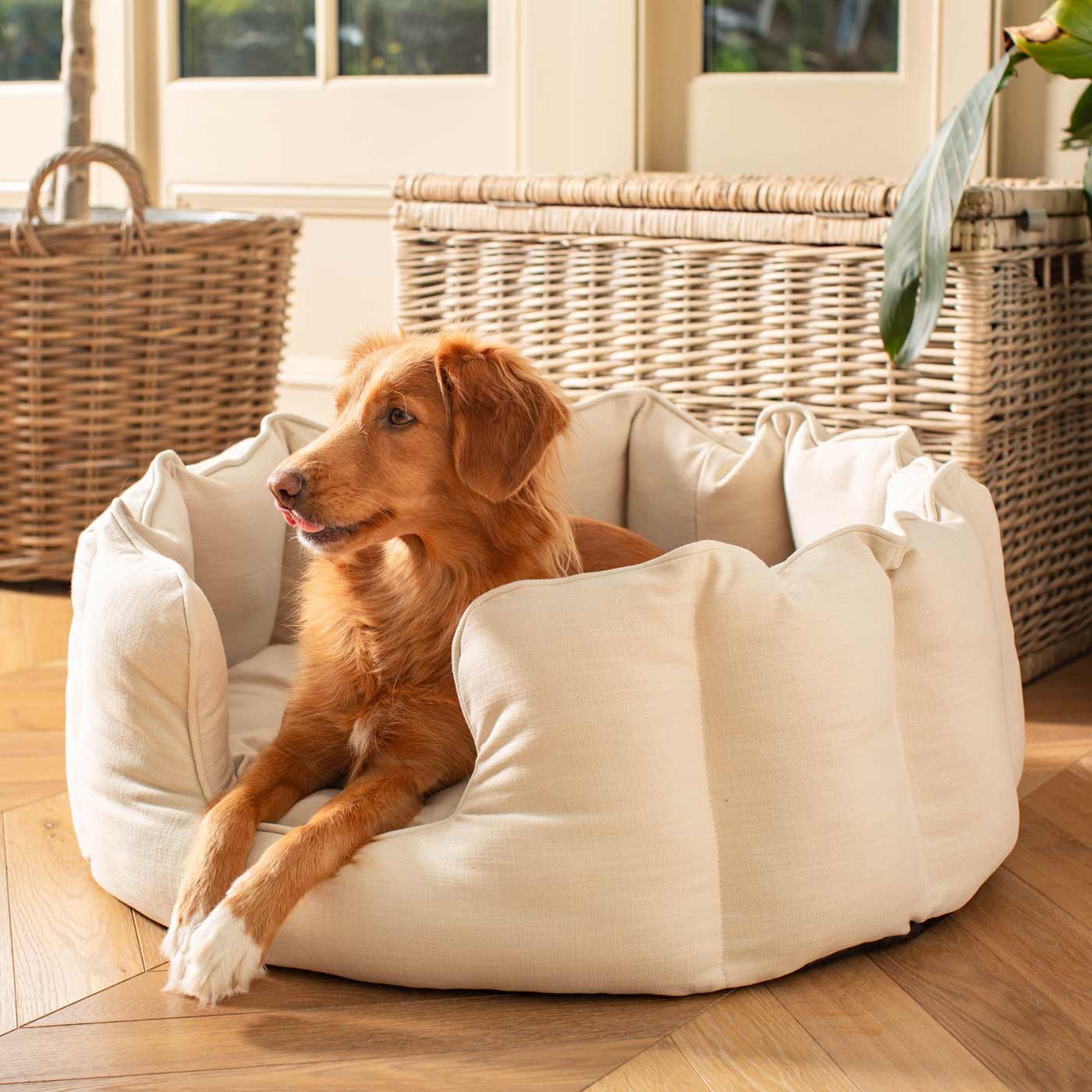 Discover Our Luxurious High Wall Bed For Dogs, Featuring inner pillow with plush teddy fleece on one side To Craft The Perfect Dogs Bed In Stunning Savanna Bone! Available To Personalize Now at Lords & Labradors US