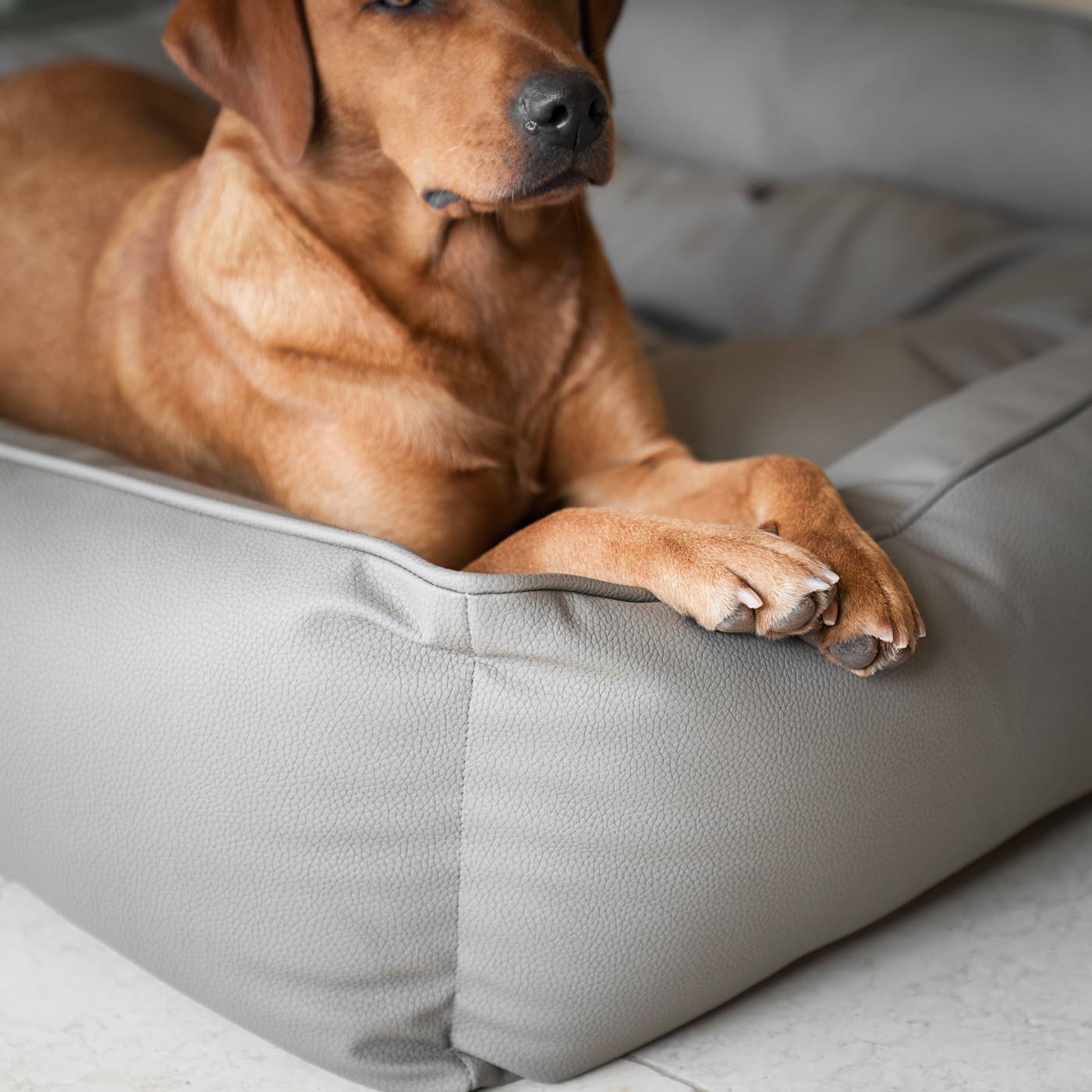 Luxury Handmade Box Bed in Rhino Tough Desert Faux Leather, in Camel, Perfect For Your Pets Nap Time! Available To Personalize at Lords & Labradors US