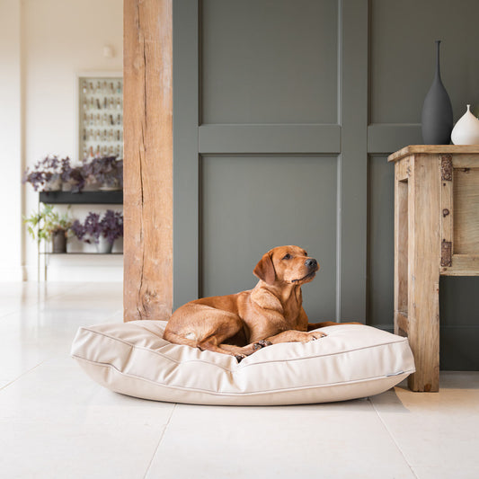 Luxury Dog Cushion in Rhino Tough Desert Faux Leather in Sand, The Perfect Pet Bed Time Accessory! Available Now at Lords & Labradors US