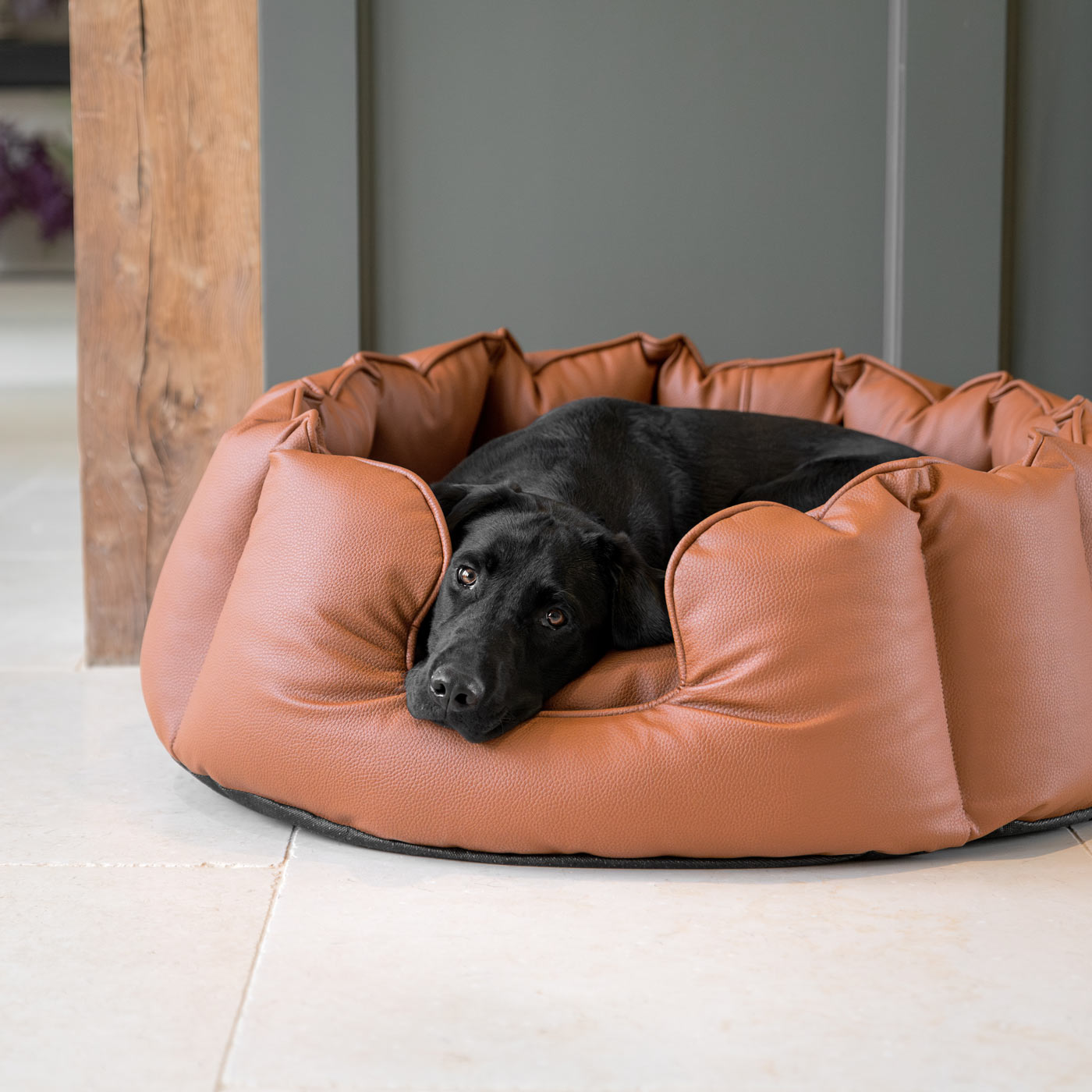 Large leather dog store bed