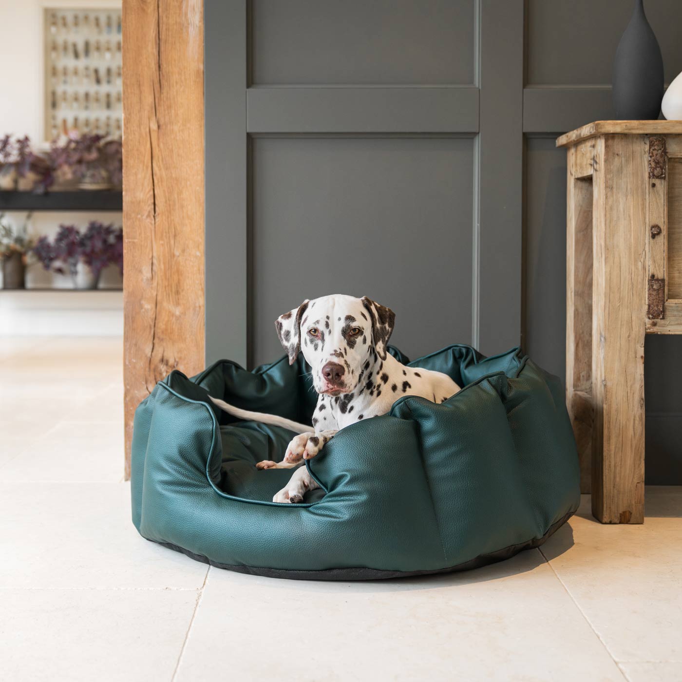 Emerald green 2025 dog bed