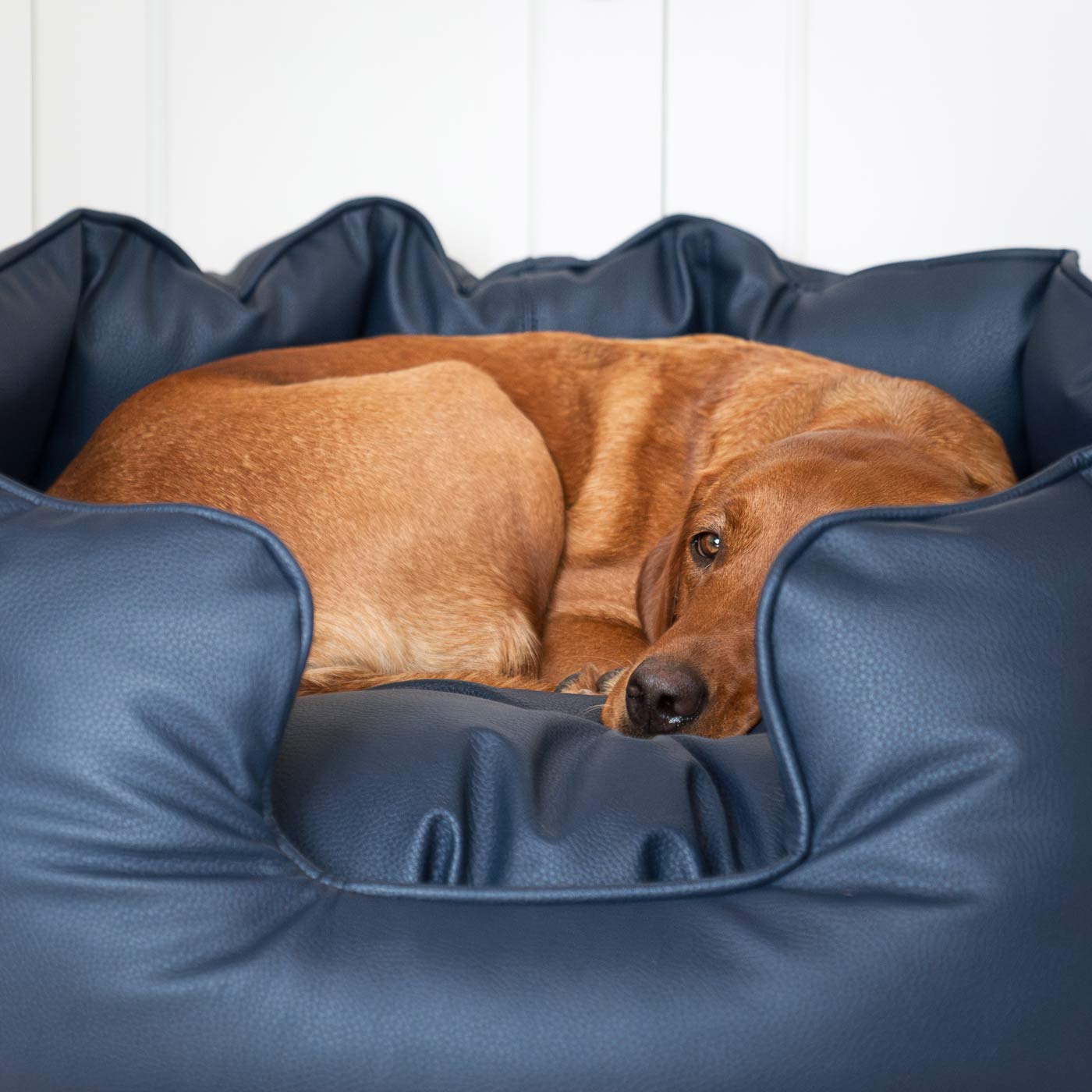 Luxury Handmade High Wall in Rhino Tough Jungle Faux Leather, in Pacific, Perfect For Your Pets Nap Time! Available To Personalize at Lords & Labradors US
