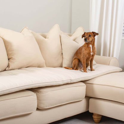 [color:Savanna Bone] Discover Our Luxury Savanna Couch Topper, The Perfect Pet Couch Accessory In Stunning Savanna Bone! Available Now at Lords & Labradors US